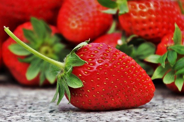 Récoltez les fraises