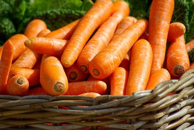 Semez des carottes