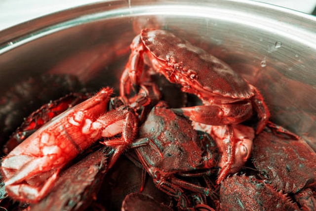 5 Recettes traditionnelles Bretonnes crabes