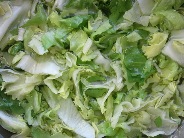 Recettes cuisine salades endives